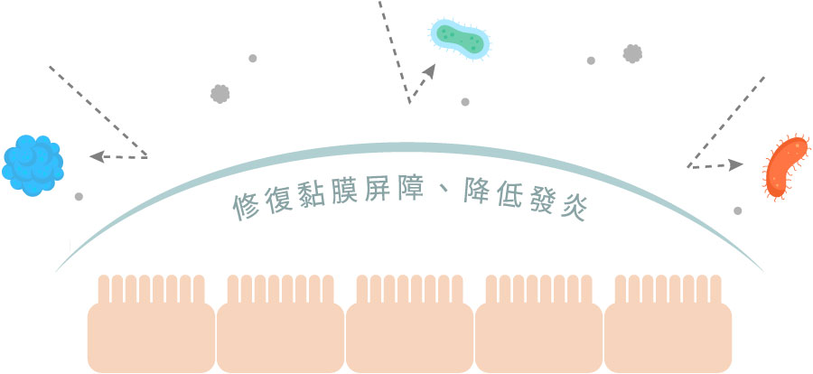 修復+強化黏膜組織
